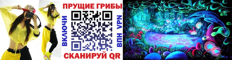 где купить наркоту  Беслан  Псилоцибиновые грибы мухоморы 